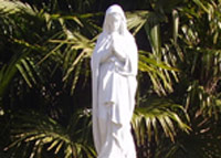 virgen-peregrina