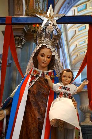 virgen del carmen misionera
